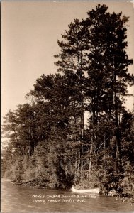 RPPC Dense Timber on Birch Lake, Laona, Forest County WI Vintage Postcard V64