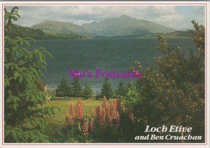 Scotland Postcard - Loch Etive and Ben Cruachan RR20798