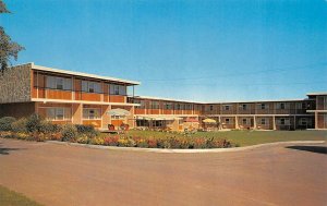 Calgary, Alberta Canada  HORSEMAN MOTOR HOTEL  Roadside ca1950's Chrome Postcard