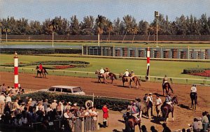 Hialeah Race Track Horses Leaving the Paddock - Miami, Florida FL  