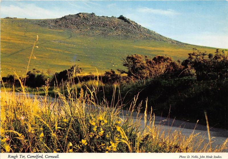 B87006 rough tor camelford   cornwall uk