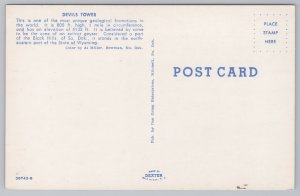 State View~Devils Tower @ Black Hills South Dakota~Vintage Postcard