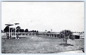 WARM MINERAL SPRINGS INN VENICE FLORIDA SITE OF WORLD FAMOUS HEALTH SPA POSTCARD