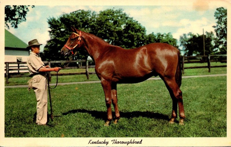 Kentucky Lexington Keeneland Race Course Yearling Ready For Sale 1967