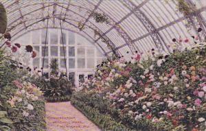 Wisconsin Milwaukee Conservatory Mitchell Park 1912