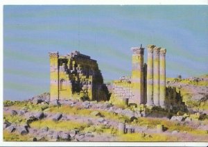 Middle East Postcard - Zeus Temple - Jerash - Jordan   U1023