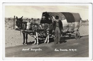 Desert Prospector Las Cruces New Mexico Donkeys Burros Wagon 1908 Tommy Schaus