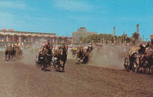 Canada Calgary Stampede Chuckwagon Races