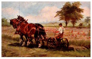 Horse , Draft Horses Mowing