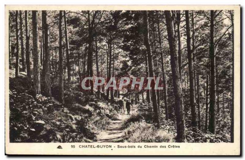 Chatel Guyon Old Postcard Undergrowth path of Cretes