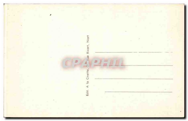 Old Postcard Niort Garden Breche