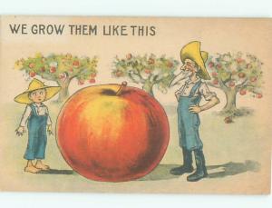 Pre-Linen Comic EXAGGERATION - FARMER GROWS GIANT APPLE AB9036