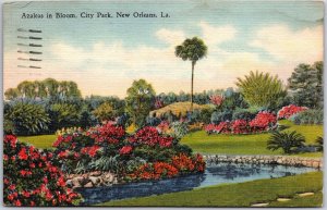 New Orleans Louisiana LA, 1946 Azaleas Flowers in Bloom, City Park, Postcard