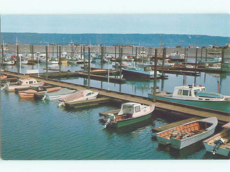 Pre-1980 BOAT SCENE Homer Alaska AL AF3636