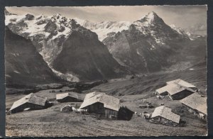 Switzerland Postcard - Alp Bei Grindelwald, Eiger    T4012