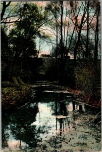 View in Ravine, Waukegan IL c1909 Vintage Postcard A45