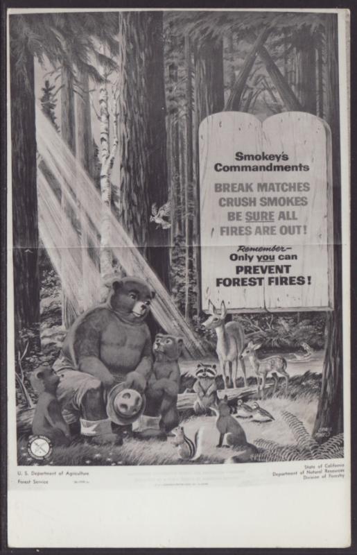 Smokey The Bears Commandments Postcard