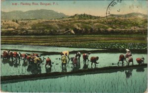 PC PHILIPPINES, PLANTING RICE, BENGUET, Vintage Postcard (b38830)