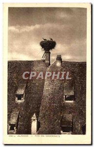 Old Postcard Alsace Storks nest