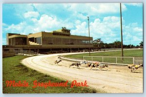 1960 Theodore Alabama Postcard Mobile Greyhound Park Race Track West Mobile