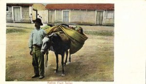 cuba, HAVANA, Native Fruit Seller, Donkey (1898) Private Mailing Card Postcard