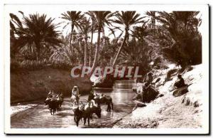 Old Postcard Scenes et Types A Oued in Oasis