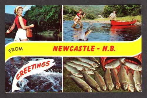 NB Greetings From NEWCASTLE NEW BRUNSWICK Canada PC