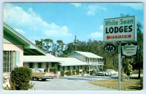 LAKELAND, Florida FL ~ Roadside WHITE SWAN MOTOR LODGE Motel 1966  Postcard