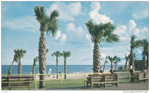 View from Pavilion , MYRTLE BEACH , South Carolina , 50-60s