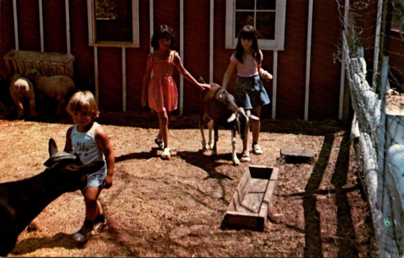 Rhode Island Hopkinton Enchanted Forest Childrens Petting Area