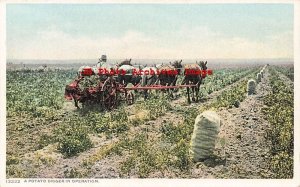 Farming Scene, Workers on a Potato Digger Operation, Detroit Publishing No 13222