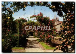 Modern Postcard The French Riviera Nice Garden of the Monastery of Cimiez