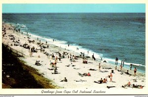 Massachusetts Greetings From Cape Cod National Seashore Beach Scene