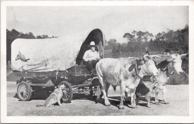 Uncle Jim Fairchild Barker Texas TX Traveling Oxen Wagon Dog c1940s Postcard E15