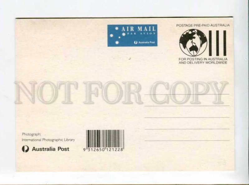 422239 AUSTRALIA 1993 y kangaroo maximum card Postal Stationery postal postcard