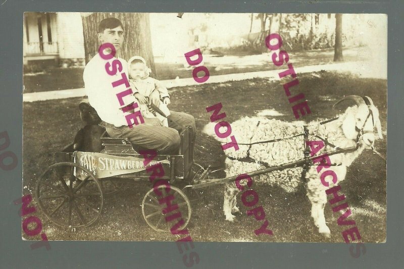 Strawberry Point IOWA RPPC c1910 ADVERTISING County Fair GOAT CARD Pennant GIRL