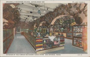 Postcard Interior Famous Buckhorn Curio Store San Antonio Texas TX