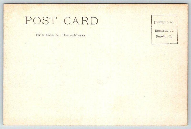 c1906  Bridge Over Delaware Ave  Buffalo  New York   Postcard