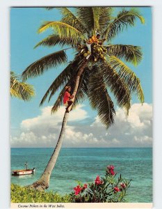 Postcard Coconut Pickers in the West Indies, Saint Lucia