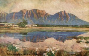 South Africa Table Mountain From Wynberg Cape Town Vintage Postcard 08.45