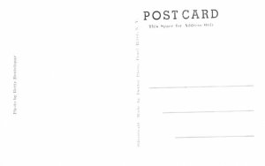 Bare Hill Canandaigua, New York Postcard