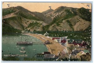 1906 Boat Landing Scene Catalina Island Avalon California CA Postcard