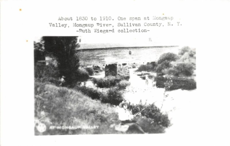 F55/ Mongaup Valley New York RPPC Postcard c1950s Covered Bridge