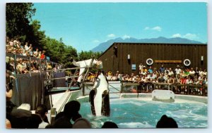 VANCOUVER, B.C. Canada ~ SKANA the KILLER WHALE at AQUARIUM 1972  Postcard