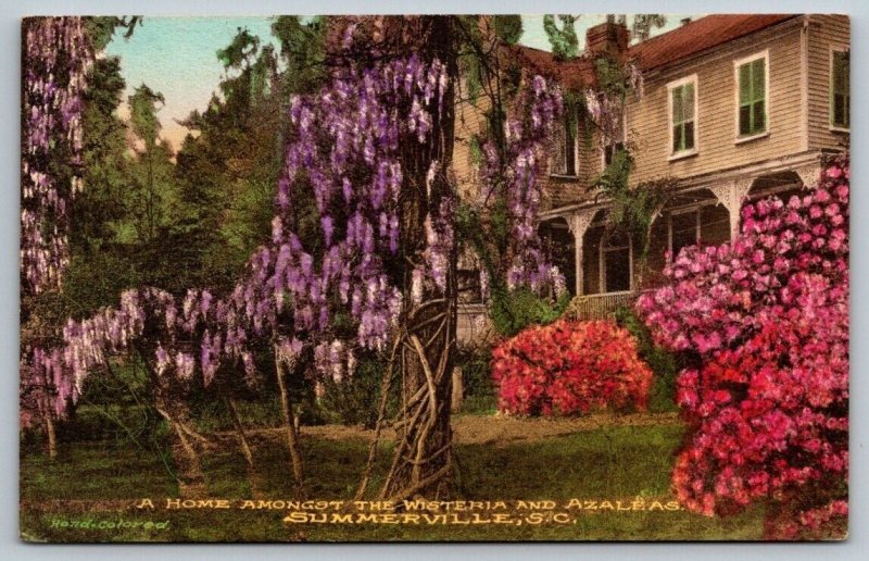 Hand Colored  Summerville  South Carolina  Wisteria  Azaleas  Postcard