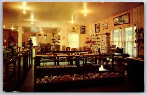 Harmony Minnesota~Interior Of Gift Shop~Niagara Cave~Hwy US 52~Vintage Postcard
