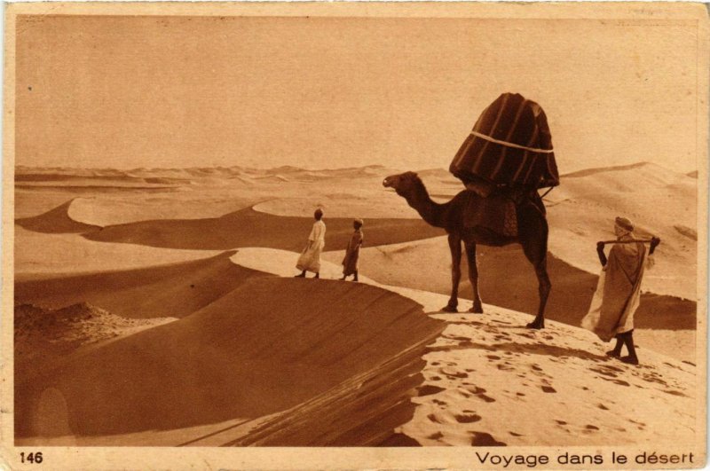 CPA Lehnert & Landrock 146 Voyage dans le désert TUNISIE (873907)