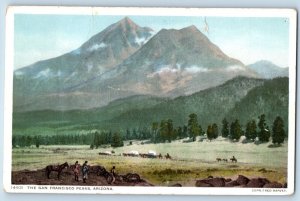 San Francisco Arizona AZ Postcard Peaks Exterior View Mountain Forest Trees 1920