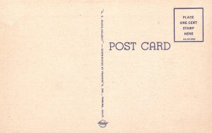 Donkeys,Death Valley National Monument,CA