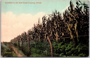 Cornfield In The Gulf Coast Country Texas TX Farm Agricultural Land Postcard